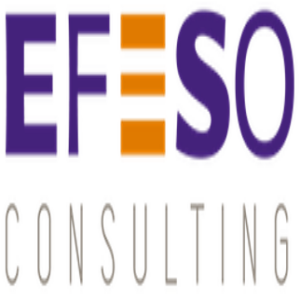 efeso-consulting